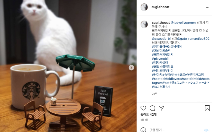 78805a221a988e79ef3f42d7c5bfd418_193215.png 78805a221a988e79ef3f42d7c5bfd418_193215.png